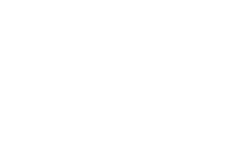 IMG Logo Desktop