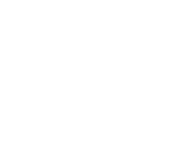 NEBus Logo Desktop